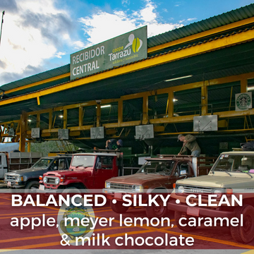 Costa Rica Tarrazu La Pastora